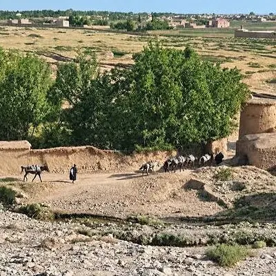 زمین ۲۵۰ متری صدرا