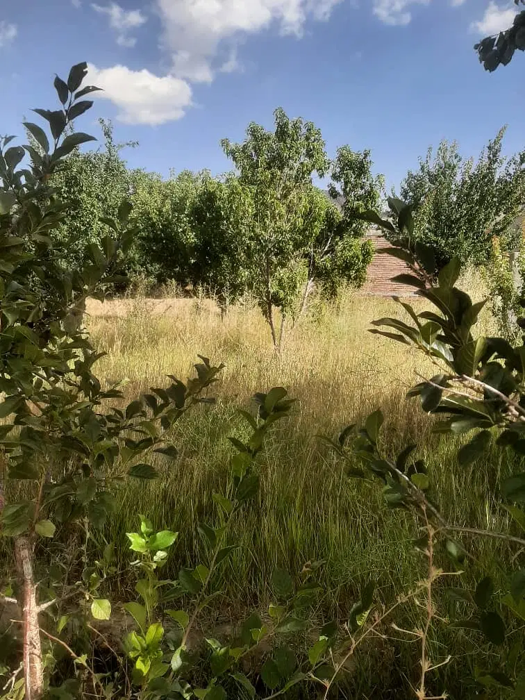 خانه ویلایی فروشی در بهترین جای سربیژن