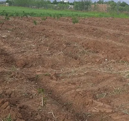 زمین مسکونی درحال تفکیک