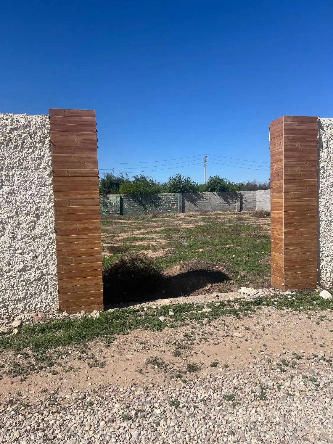 زمین باغچه برقدار