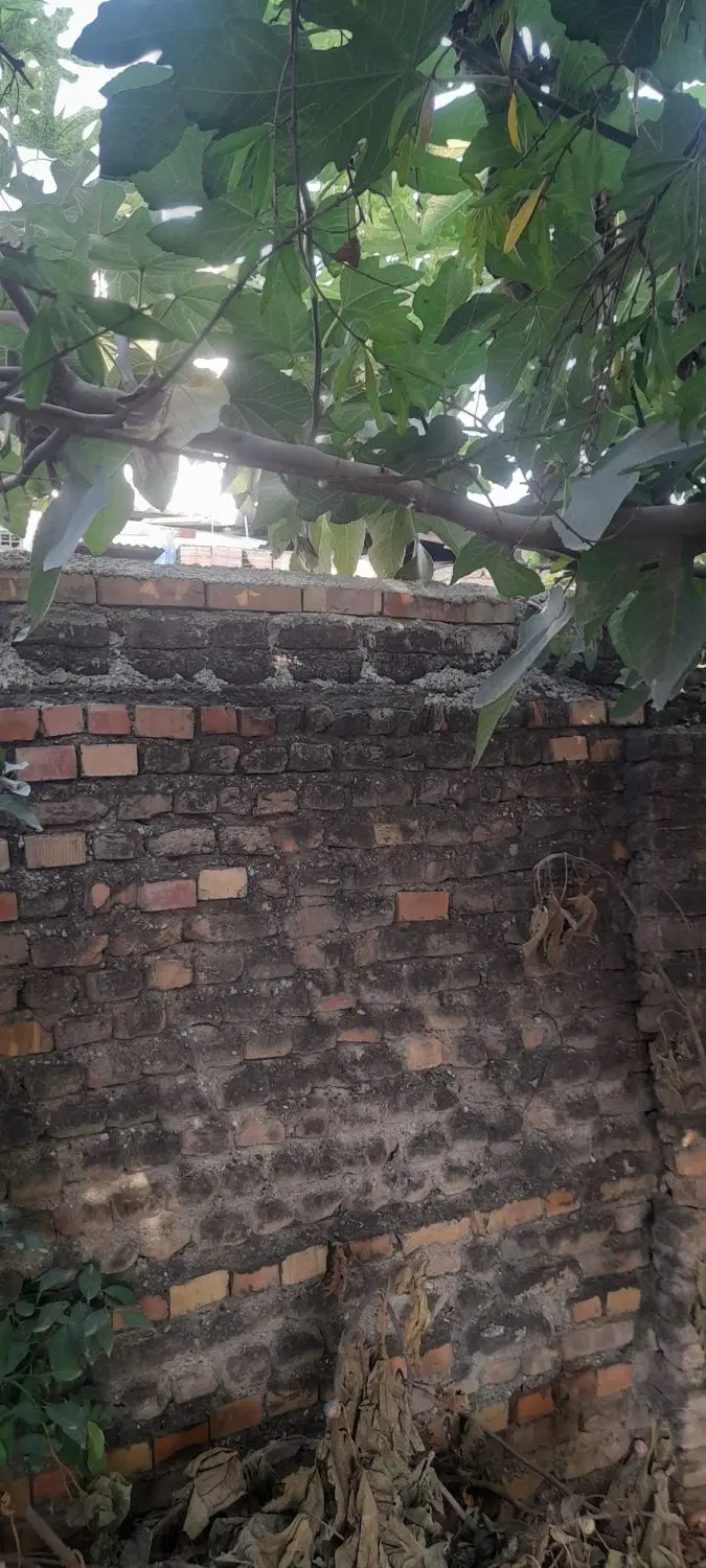 زمین مسکونی سنگدوین