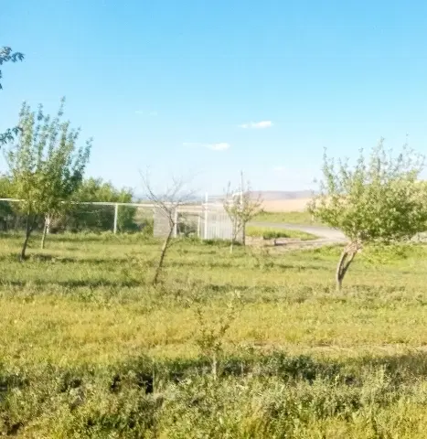 زمین دیم روستای دوکچی