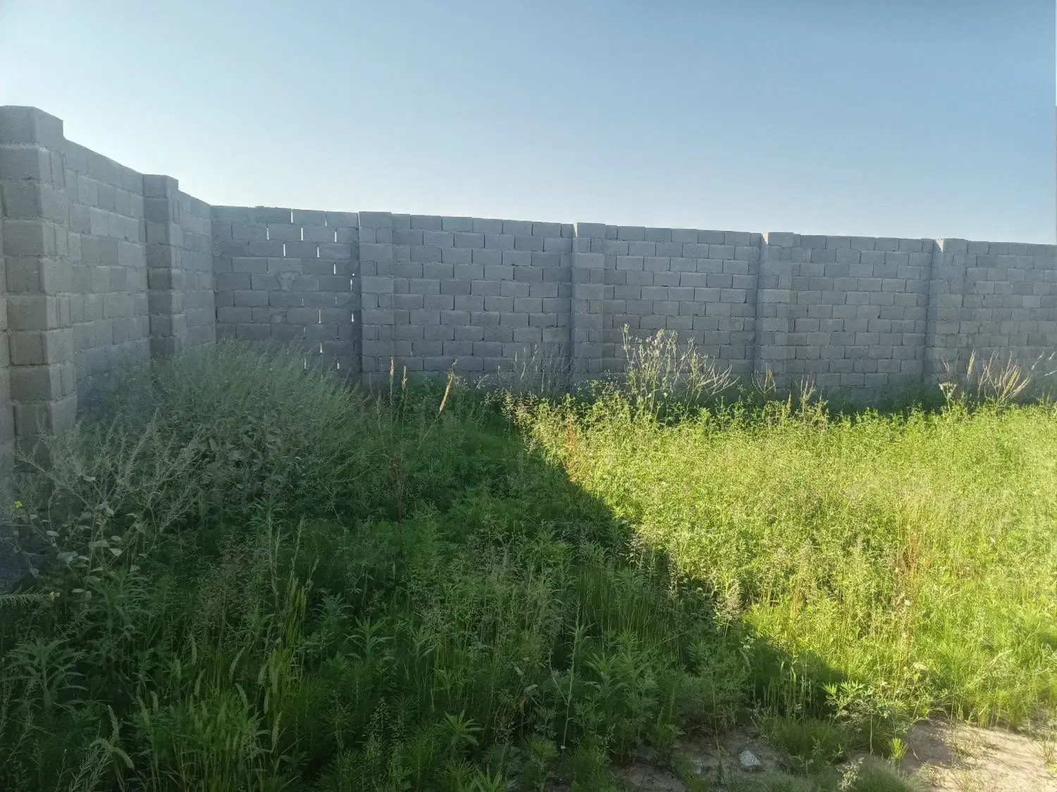 زمین باغ۲هکتارجاده یل آباد