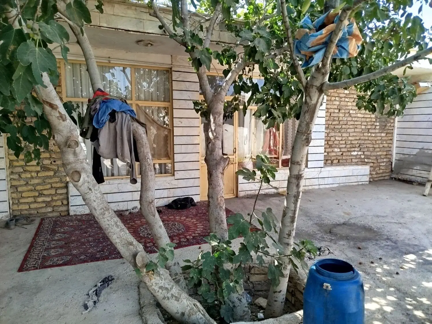 خانه ای سندتک برگ