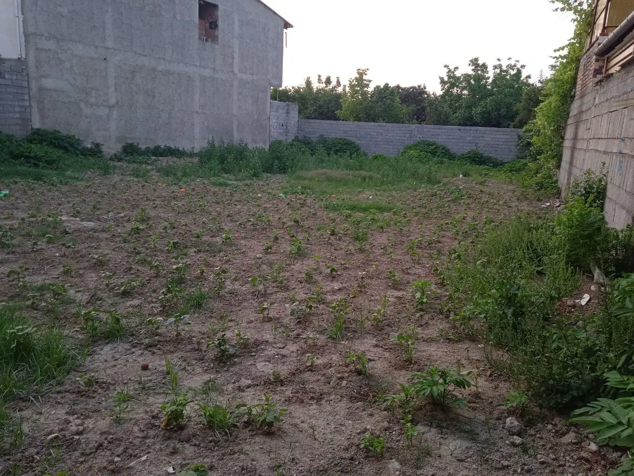 زمین مسکونی