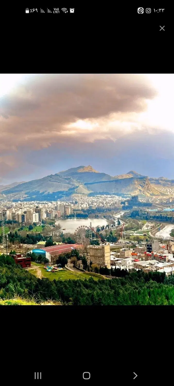 اتاق میدان توت