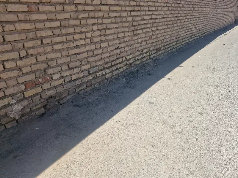 ۱۳قصب شمالی محصور کمیل۱۰