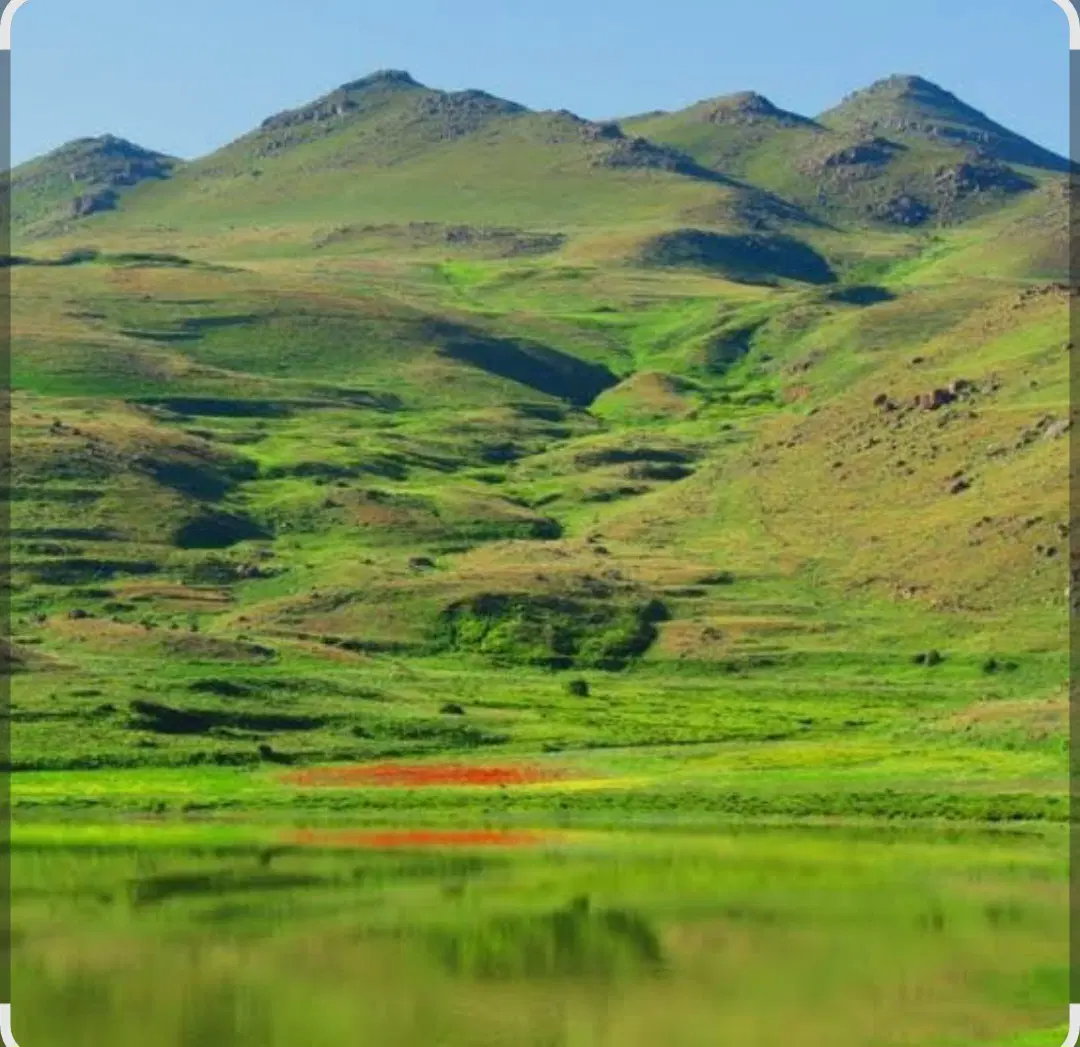 زمین در پشت بر ملاباشی