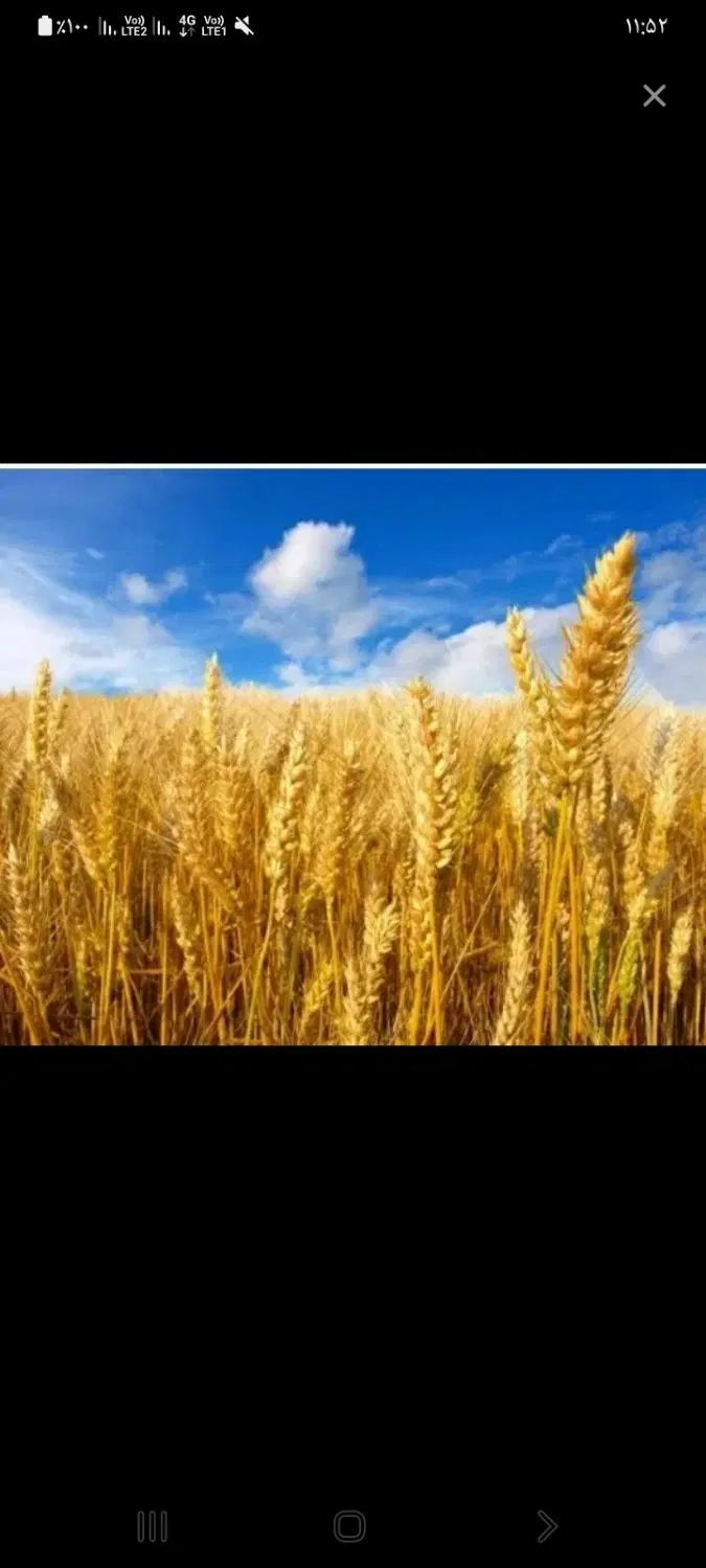فروش یک قطعه زمین کشاورزی