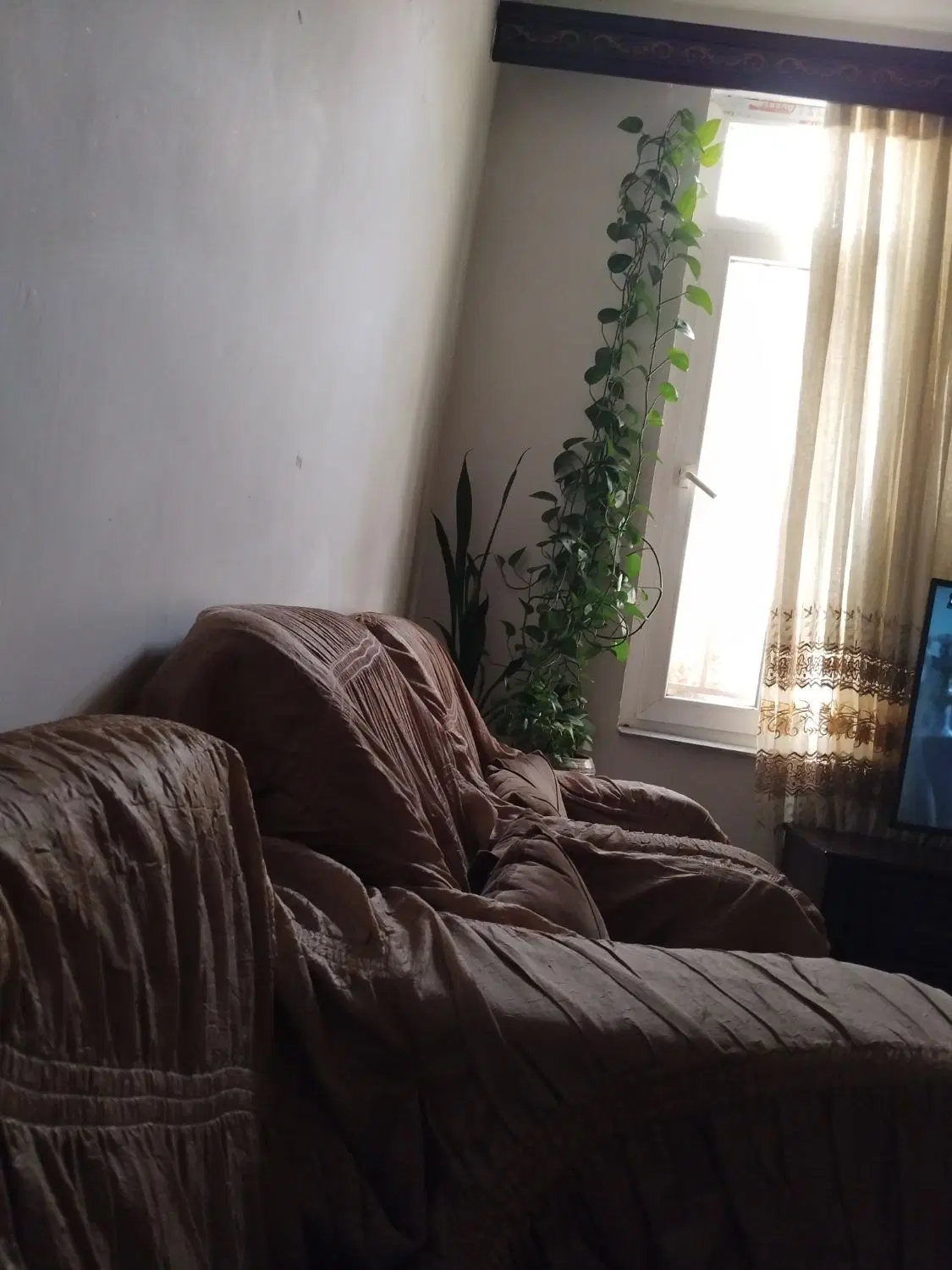 اجاره اپارتمان