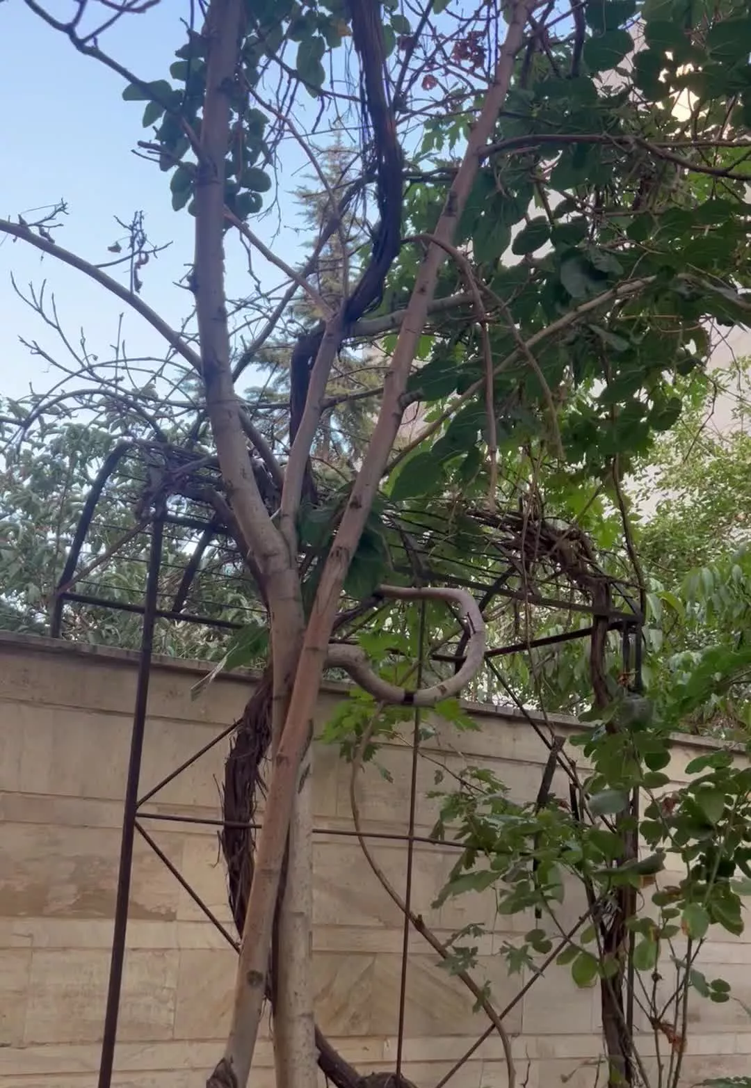 گوهردشت_بلوارانقلاب_102متری باحیاط اختصاصی‌ بزرگ