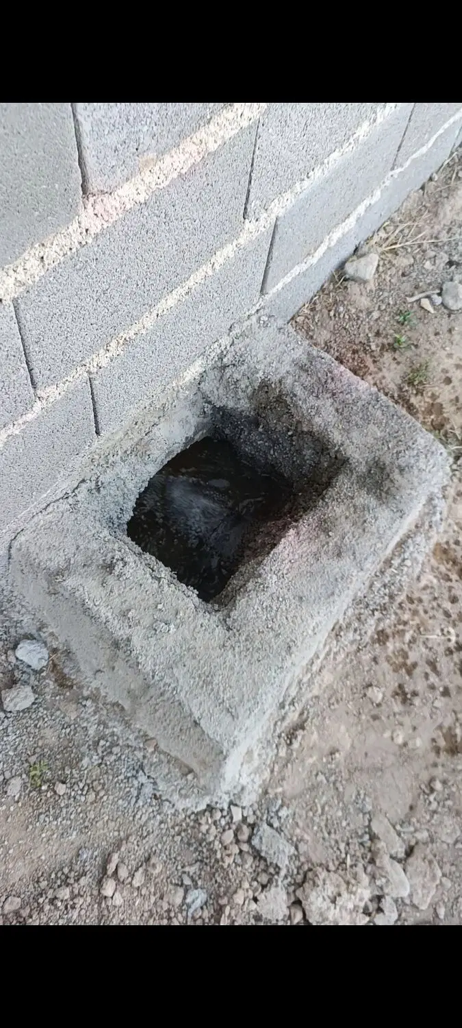 باغچه چهار دیواری