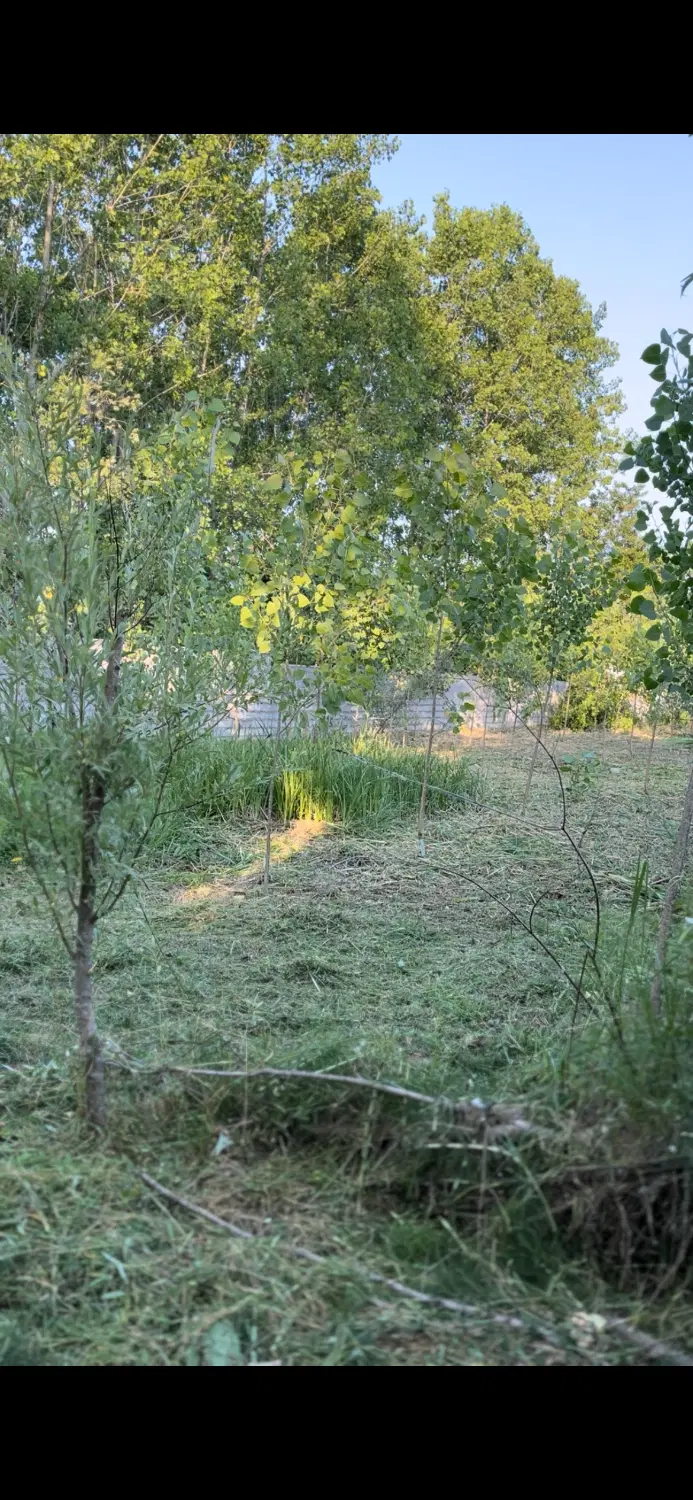 زمین حومه بندر کیاشهر گیلان سالکده