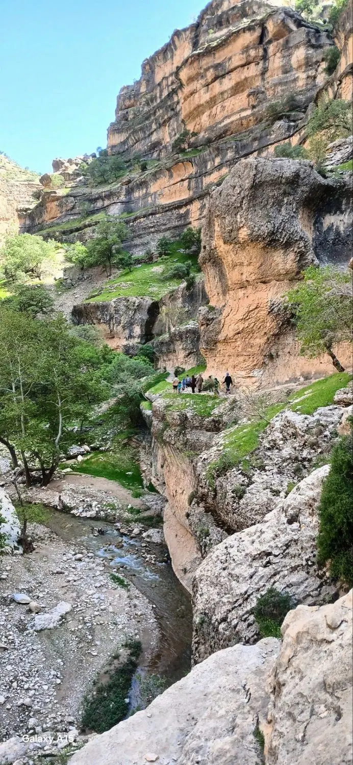 زمین گلستان ۱۲ شهرک امام