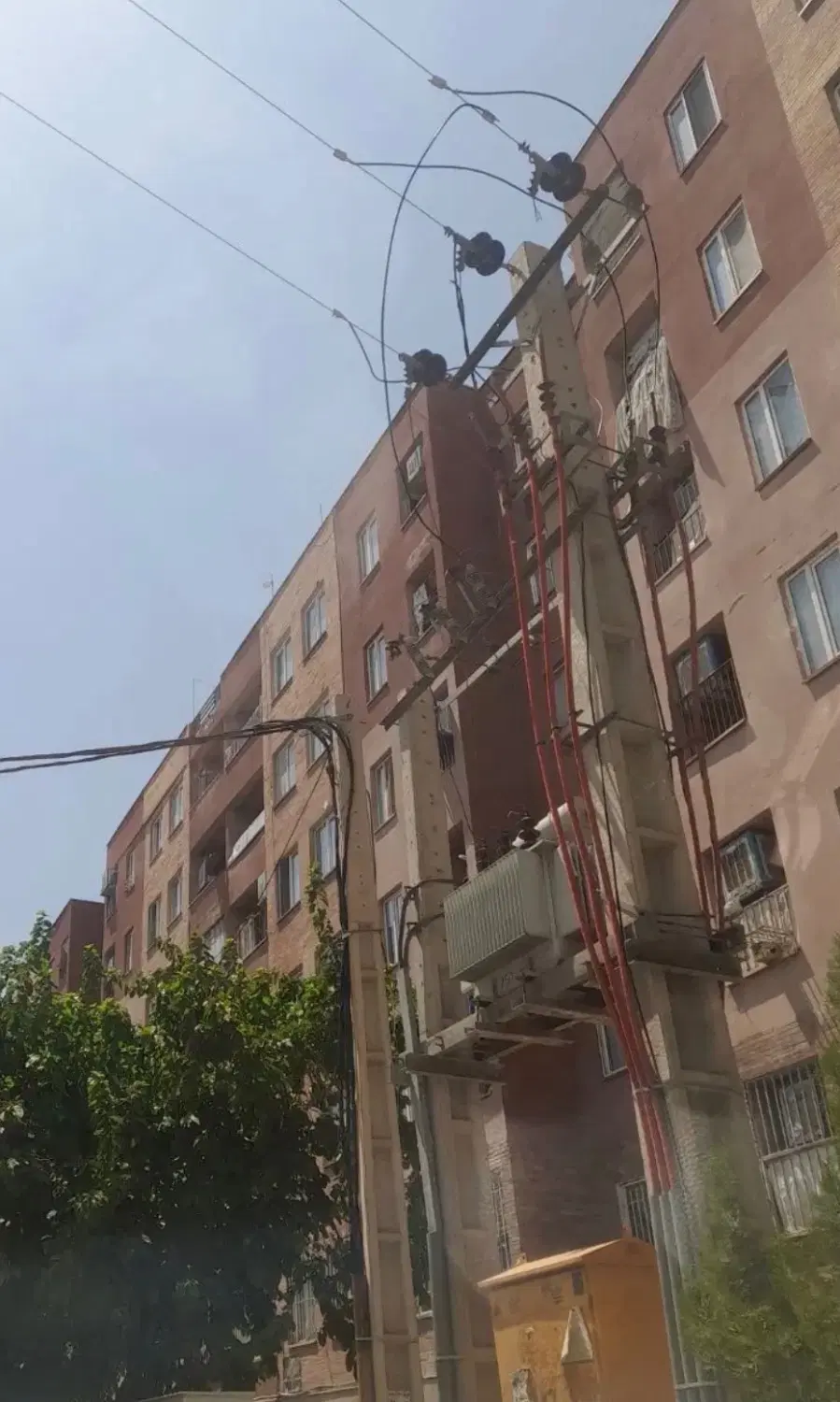 مهرگان سند تک برگ با مستاجر
