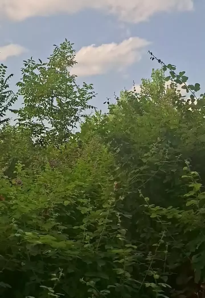 زمین ویلایی