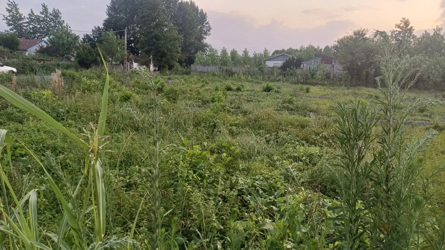 فروش قطعات باغی نامه داخل طرح نزدیک دریا