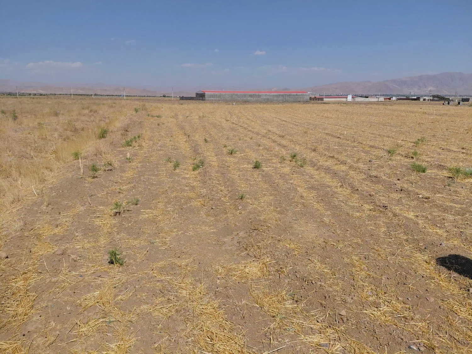 زمین ویلایی کار گاهی