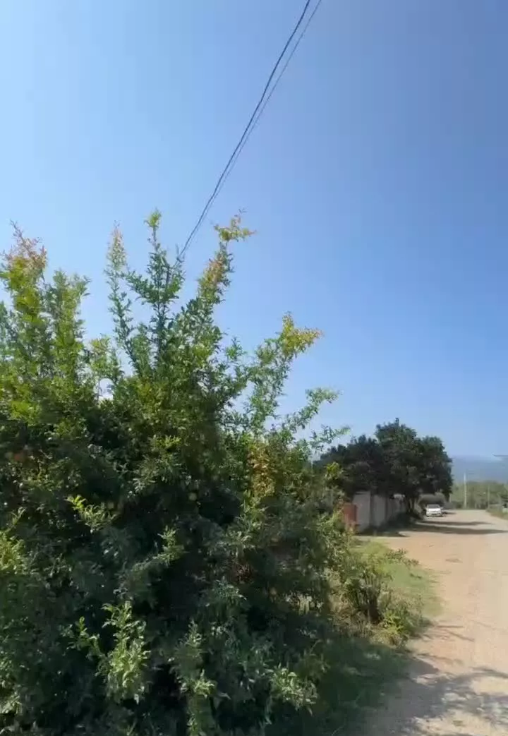 فروش ویلا و زمین