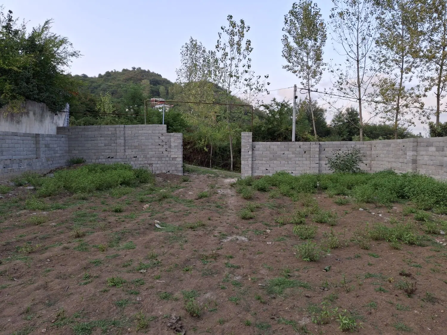 فروش ۷۵۰ متر باسند تک برگی