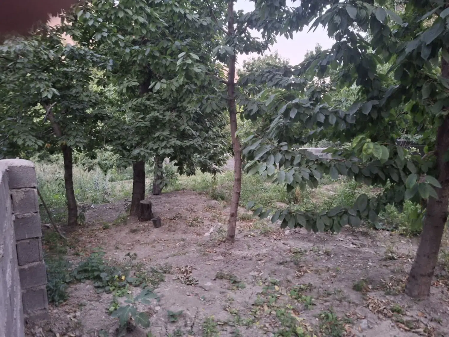 زمین لواسان لو پشته افجه ۵۰۰ متر  به عرض ۱۵ در ۳۵