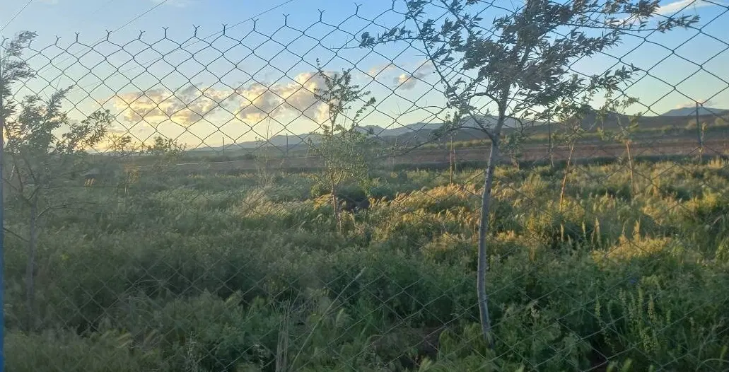 باغ ۱۷۰۰ متری در اهر