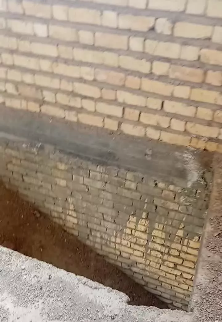 باغ با درخت و ۳۰۰ متر ساختمان