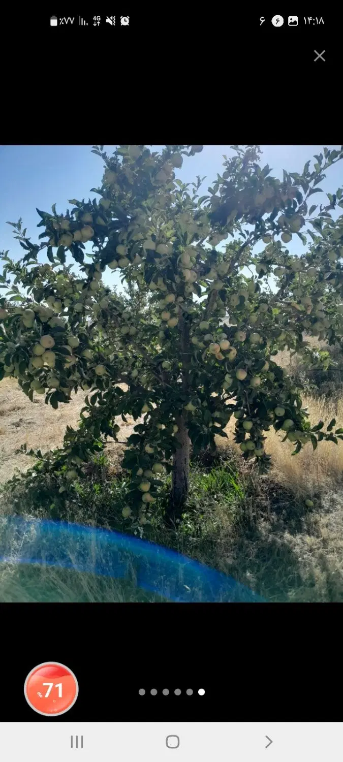 فروش زمین کشاورزی باحق ابه