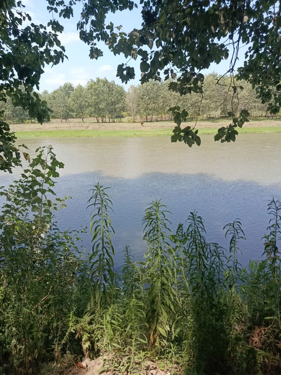 ویلایی دربستی 60 متری