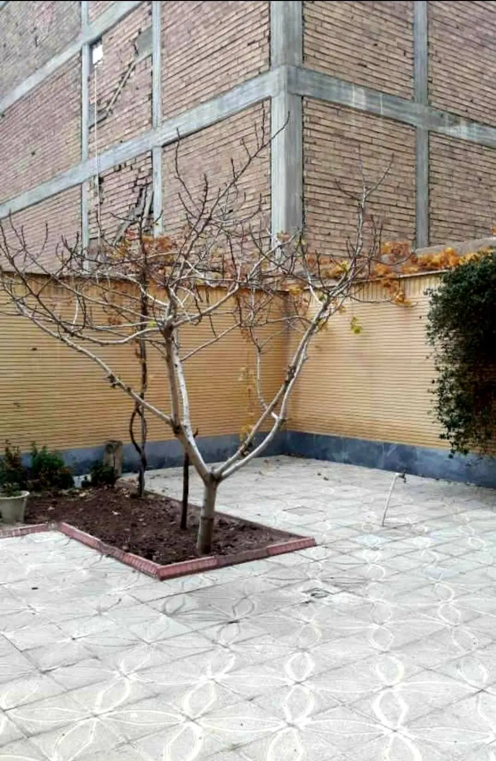 فروس حیاط جنوبی ولیعصر_  حوالی پروین اعتصامی لیدا