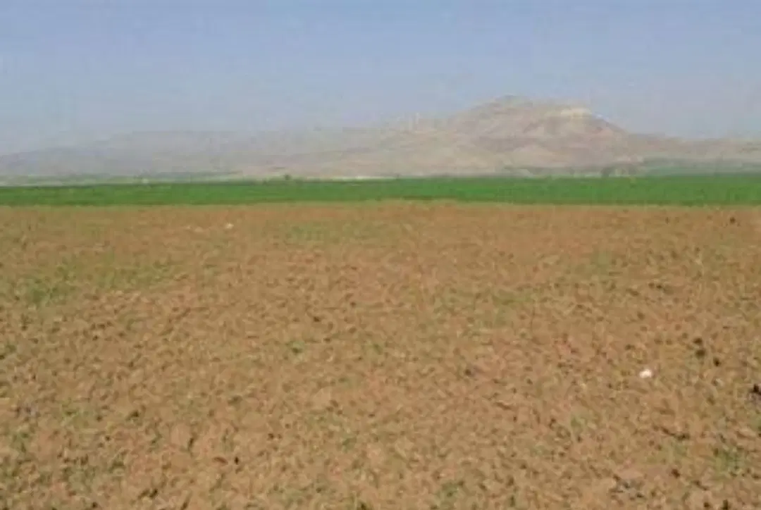 زمین در جورقان