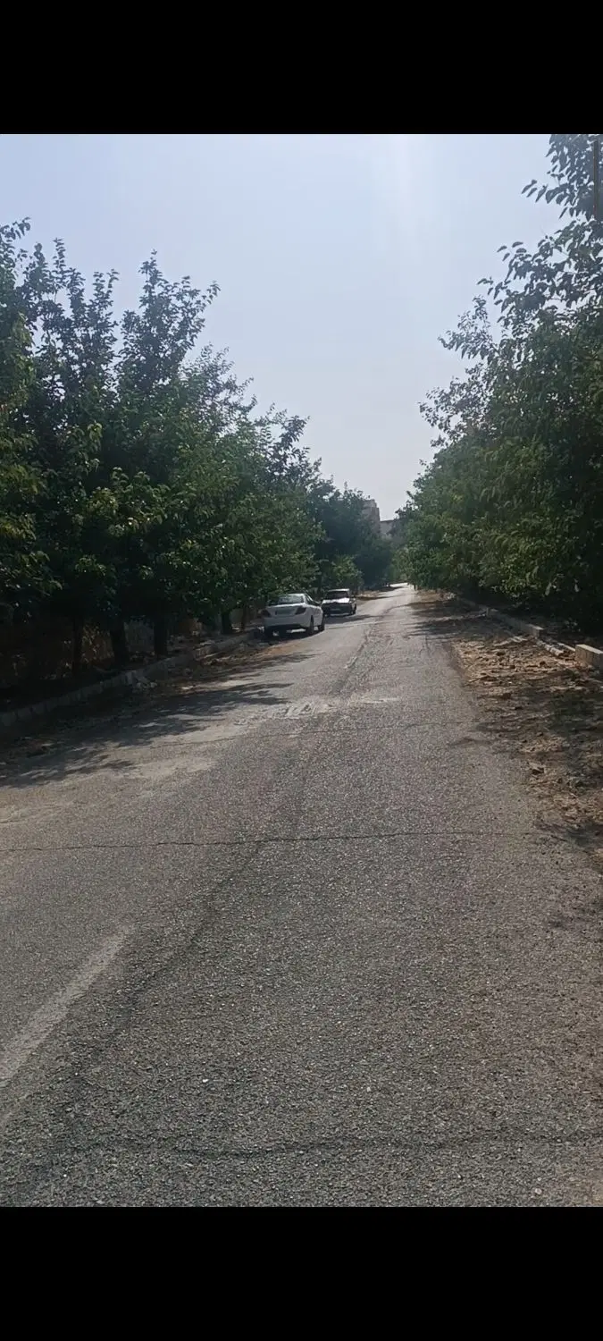 فروش زمین گلخانه