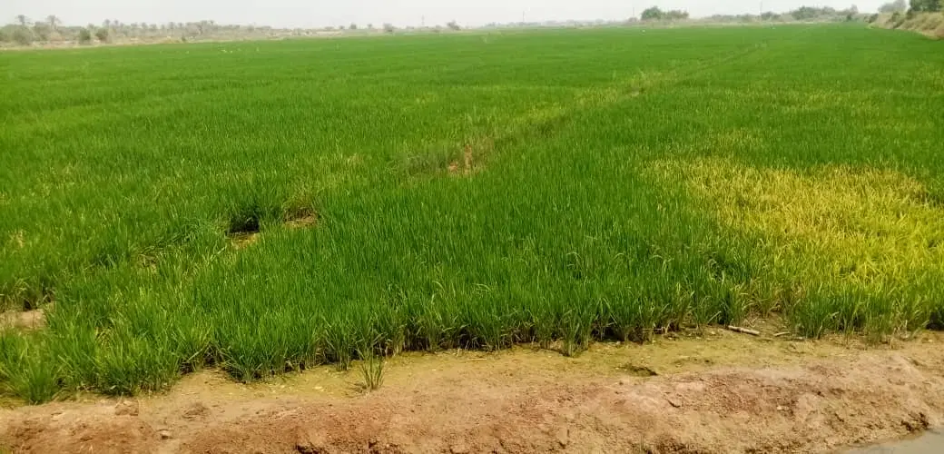 زمین کلنگی کلدوزخ یک ۱