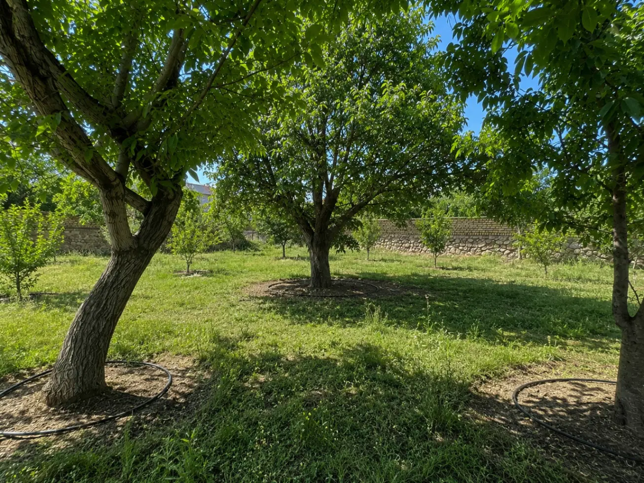 ۵۹۰ متر باغچه کردان آجین دوجین