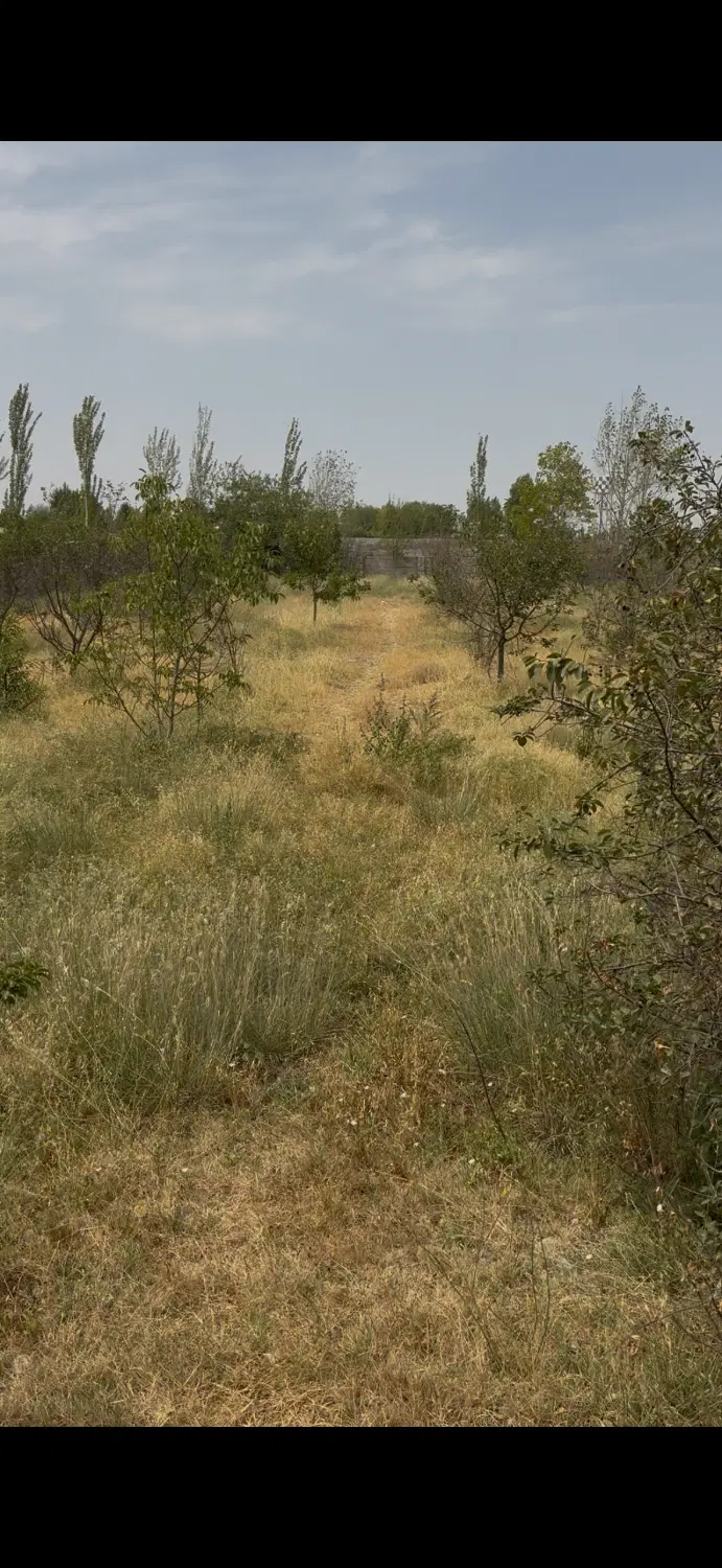 زمین چهار دیواری