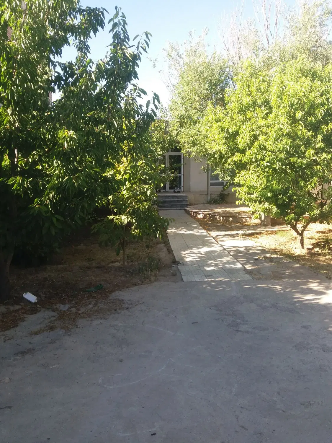 بک باب خانه