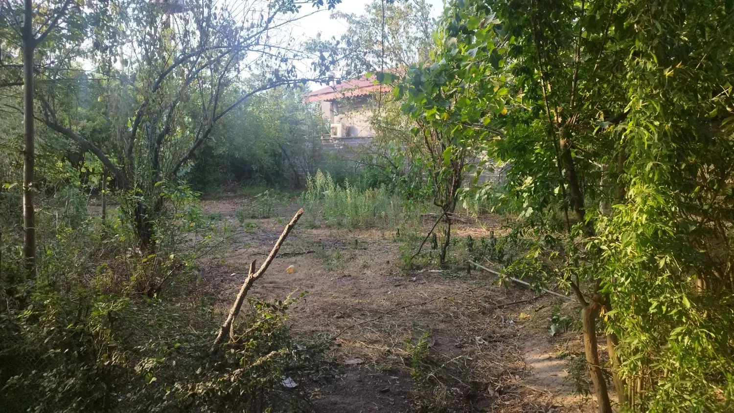 زمین برای ساخت ویلا جاده فومن