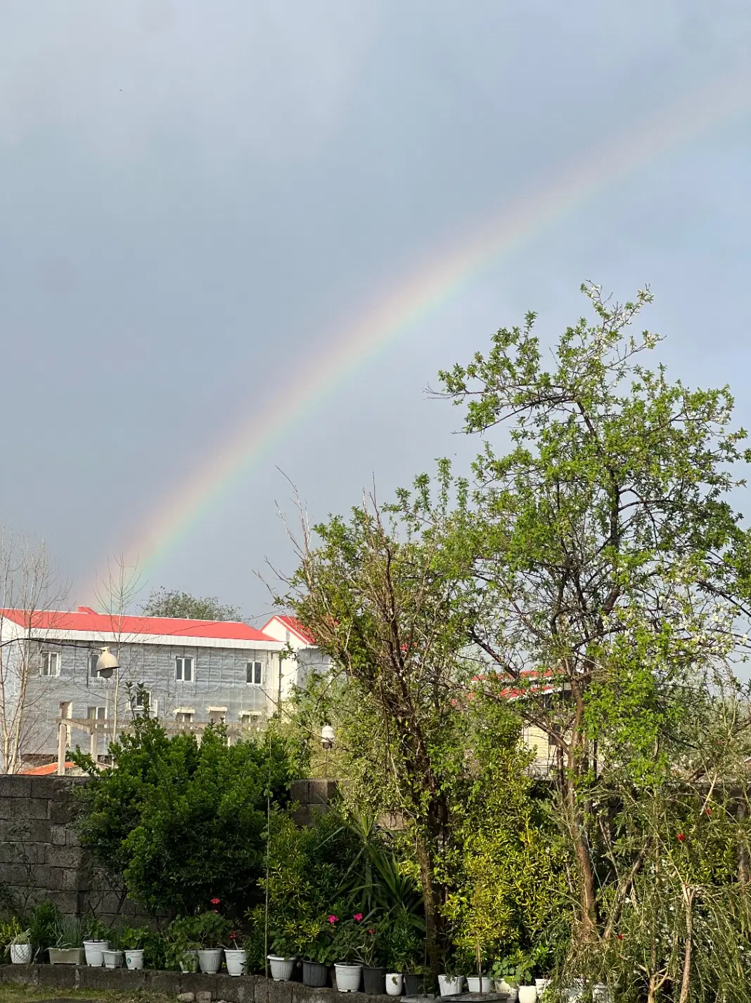 زمینی به مساحت ۱_۲۰۰ متر باغی