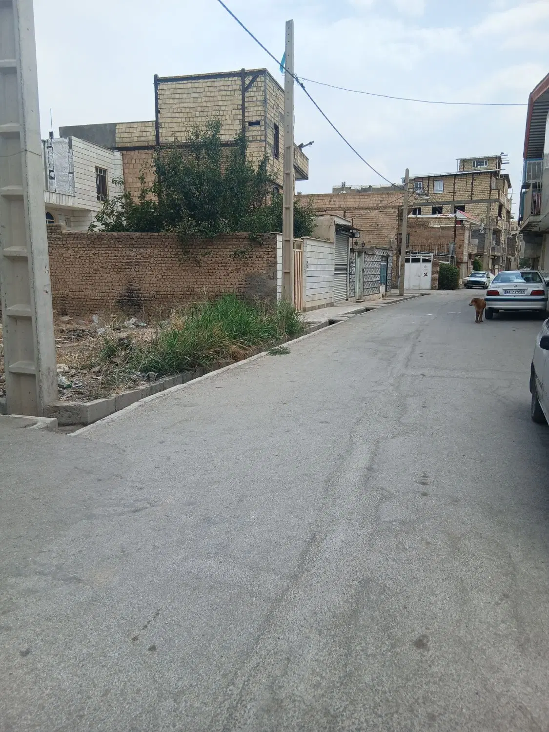 زمین.۱۰۰مترپشت.کارخانه.نمک