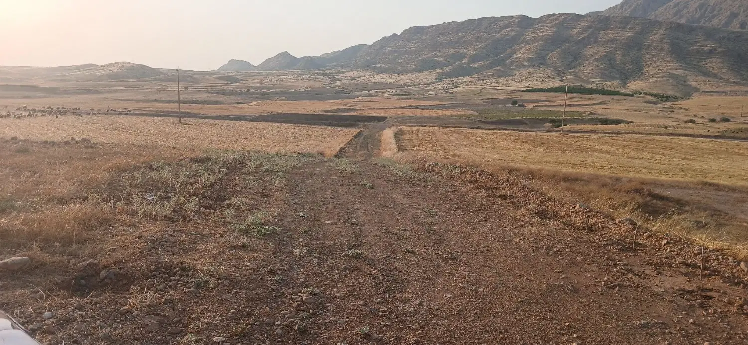 فروش زمین جهت باغچه