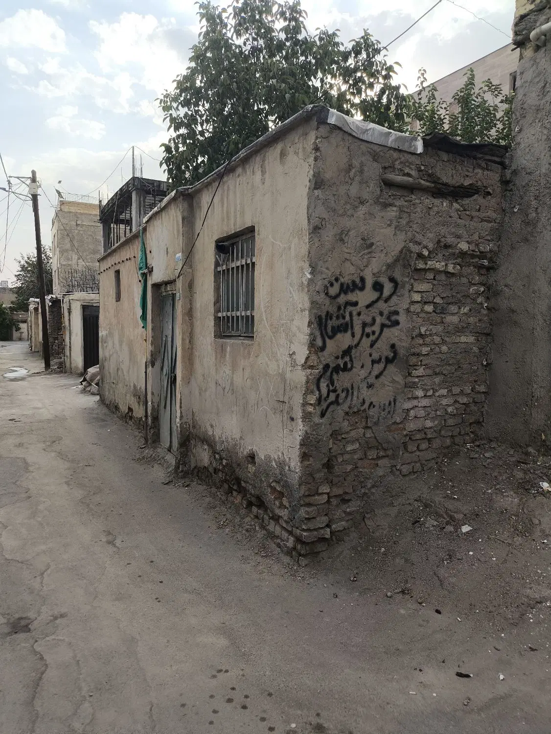 سند تک برگ عرصه عیان