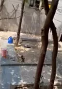 رهن کامل ویلایی ۴ خوابه