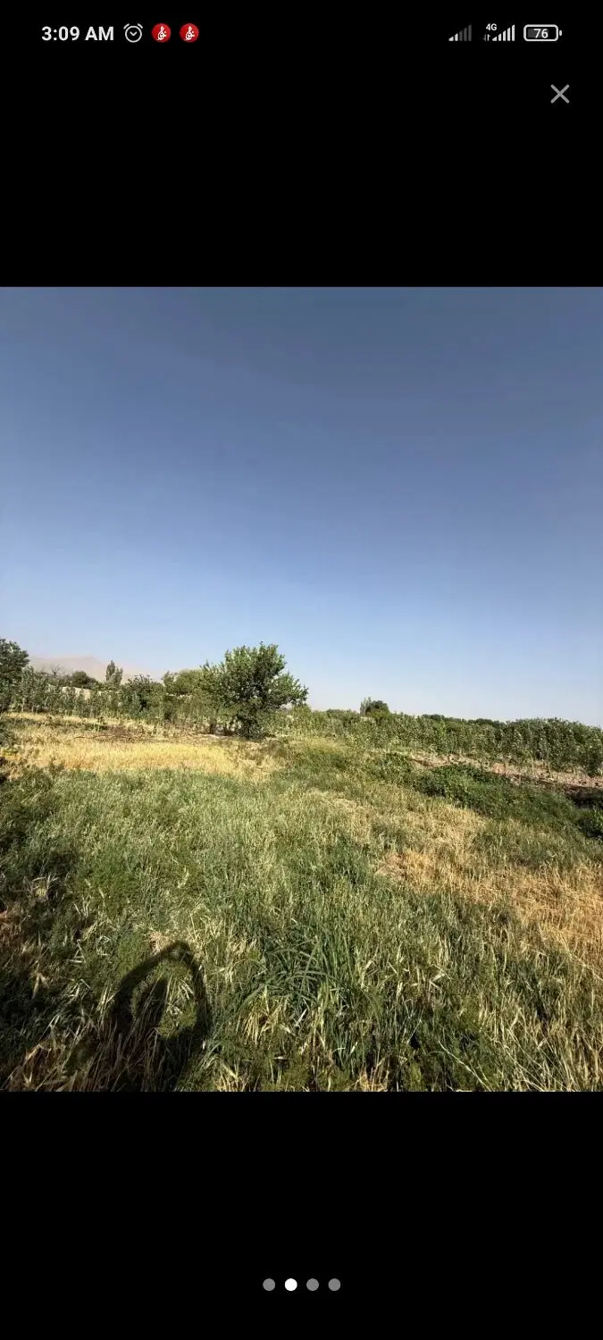 زمین کشاورزی