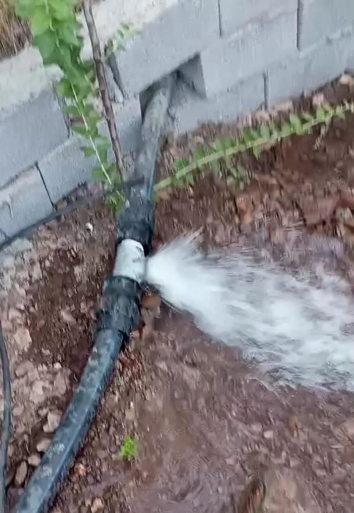 باغ پر ثمر