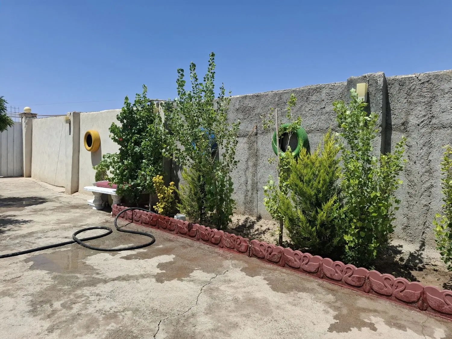 زمین و باغچه