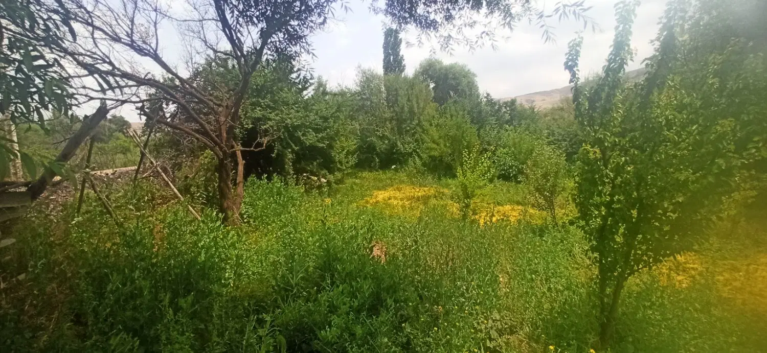 ویلا گلینک 280 متر سند شیش دانگ تکبرگ