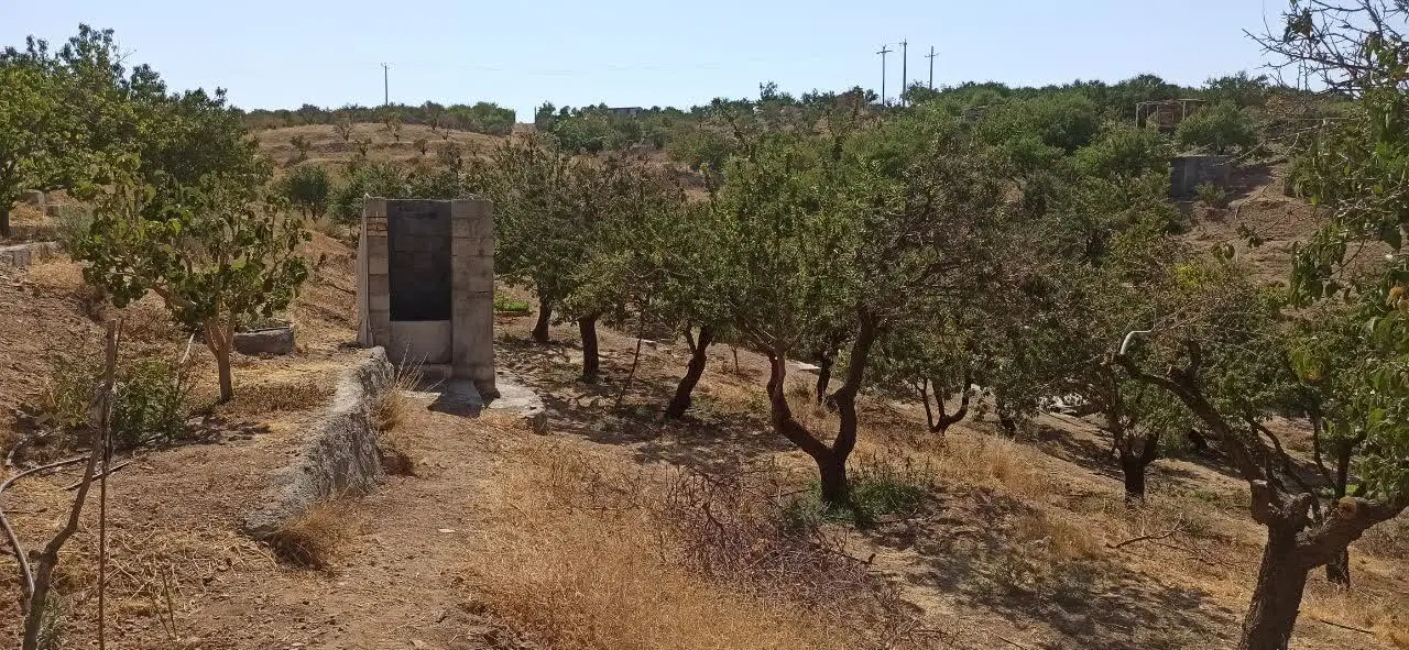فروش باغ لب خط آسفالت