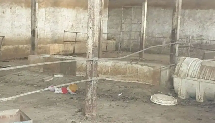 اجاره جهت کارگاه دامداری انبار