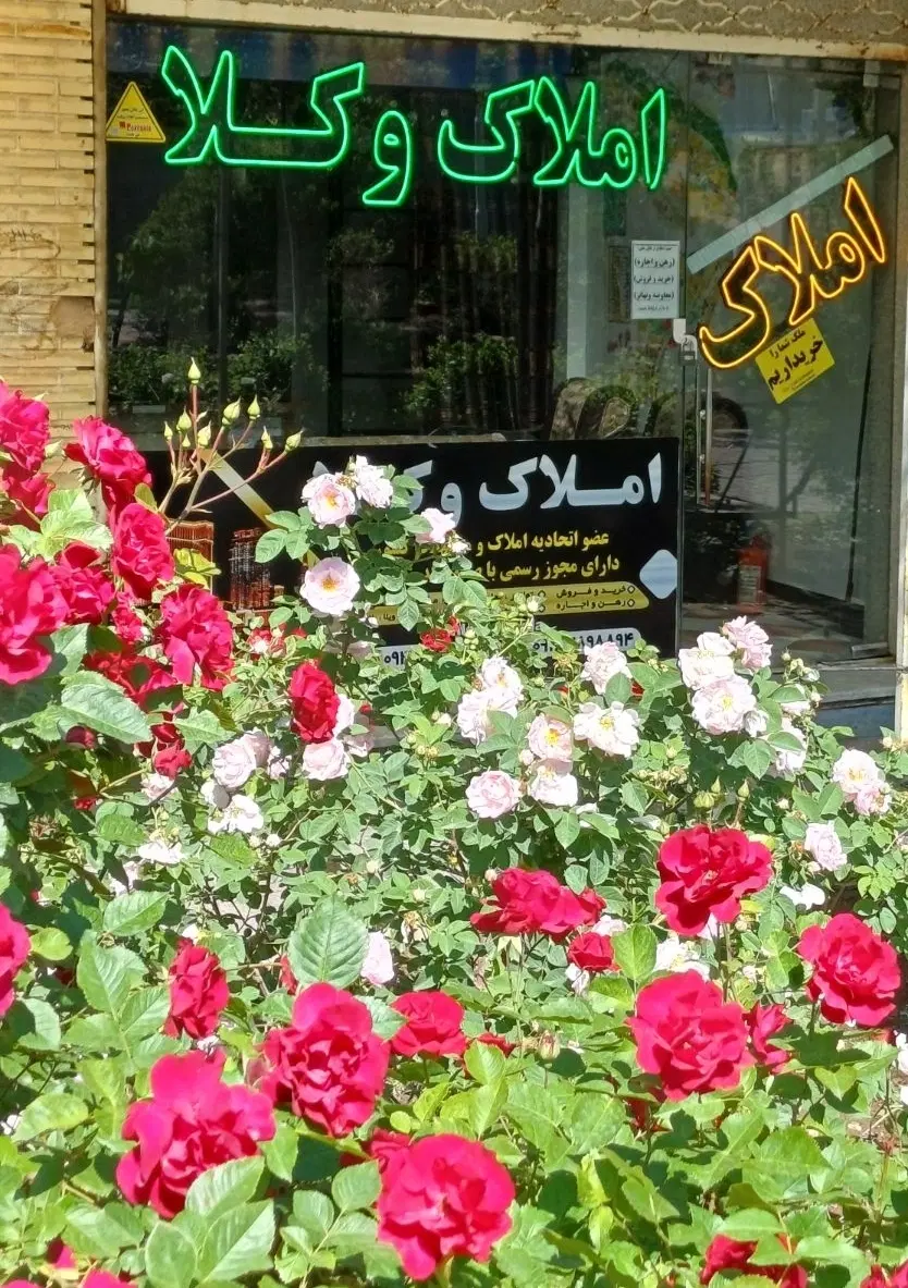 رهن واجاره مغازه