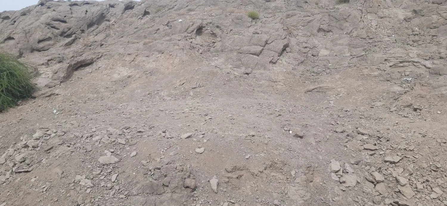 متراژ زمین 250متر
